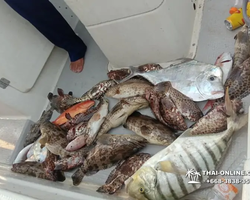 Real Fishing excursion 7 Countries from Pattaya in Thailand photo 428