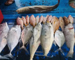 Real Fishing excursion 7 Countries from Pattaya in Thailand photo 294