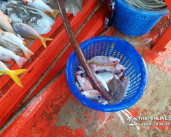 Real Fishing excursion 7 Countries from Pattaya in Thailand photo 95