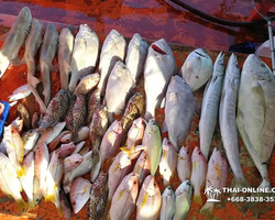 Real Fishing excursion 7 Countries from Pattaya in Thailand photo 72