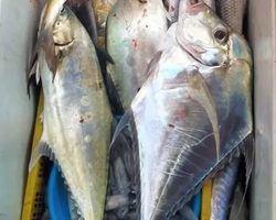 Real Fishing excursion 7 Countries from Pattaya in Thailand photo 400