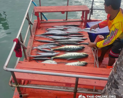Real Fishing excursion 7 Countries from Pattaya in Thailand photo 56