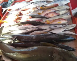 Real Fishing excursion 7 Countries from Pattaya in Thailand photo 332