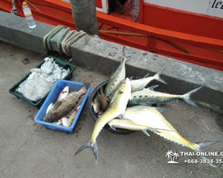 Real Fishing excursion 7 Countries from Pattaya in Thailand photo 292