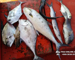 Real Fishing excursion 7 Countries from Pattaya in Thailand photo 551