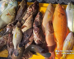 Real Fishing excursion 7 Countries from Pattaya in Thailand photo 123