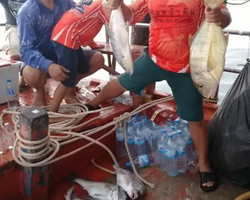 Real Fishing excursion 7 Countries from Pattaya in Thailand photo 305