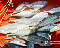 Real Fishing excursion 7 Countries from Pattaya in Thailand photo 182