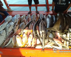 Real Fishing excursion 7 Countries from Pattaya in Thailand photo 228