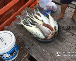 Real Fishing excursion 7 Countries from Pattaya in Thailand photo 146