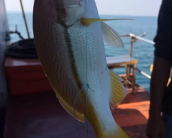 Real Fishing excursion 7 Countries from Pattaya in Thailand photo 920