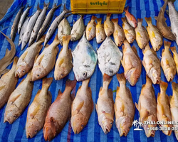 Real Fishing excursion 7 Countries from Pattaya in Thailand photo 2