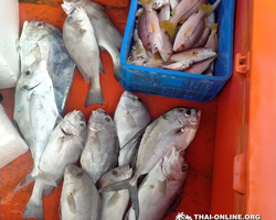 Real Fishing excursion 7 Countries from Pattaya in Thailand photo 151