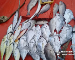 Real Fishing excursion 7 Countries from Pattaya in Thailand photo 264