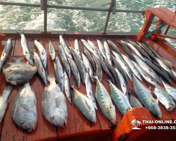 Real Fishing excursion 7 Countries from Pattaya in Thailand photo 110