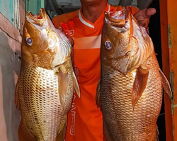 Real Fishing excursion 7 Countries from Pattaya in Thailand photo 86