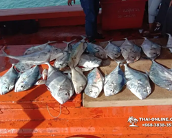 Real Fishing excursion 7 Countries from Pattaya in Thailand photo 447