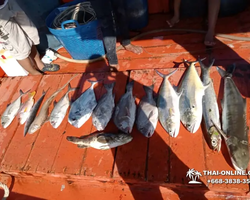 Real Fishing excursion 7 Countries from Pattaya in Thailand photo 226