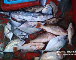 Real Fishing excursion 7 Countries from Pattaya in Thailand photo 42