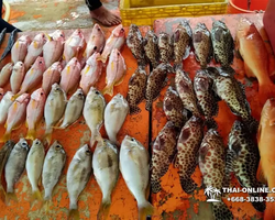 Real Fishing excursion 7 Countries from Pattaya in Thailand photo 36