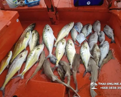 Real Fishing excursion 7 Countries from Pattaya in Thailand photo 463