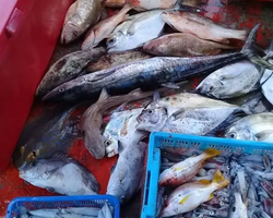 Real Fishing excursion 7 Countries from Pattaya in Thailand photo 93