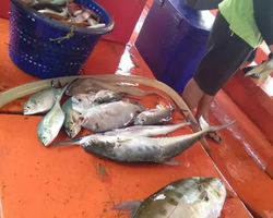 Real Fishing excursion 7 Countries from Pattaya in Thailand photo 411