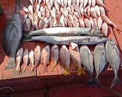 Real Fishing excursion 7 Countries from Pattaya in Thailand photo 262