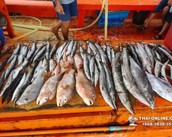 Real Fishing excursion 7 Countries from Pattaya in Thailand photo 34