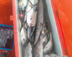 Real Fishing excursion 7 Countries from Pattaya in Thailand photo 395