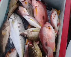 Real Fishing excursion 7 Countries from Pattaya in Thailand photo 504