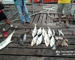 Real Fishing excursion 7 Countries from Pattaya in Thailand photo 145