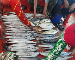 Real Fishing excursion 7 Countries from Pattaya in Thailand photo 69