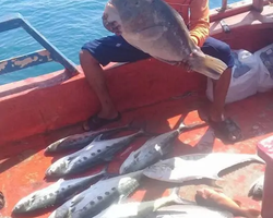 Real Fishing excursion 7 Countries from Pattaya in Thailand photo 351