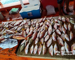 Real Fishing excursion 7 Countries from Pattaya in Thailand photo 77