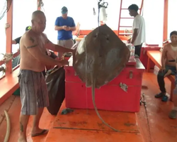 Real Fishing excursion 7 Countries from Pattaya in Thailand photo 802