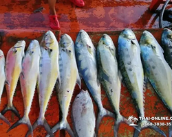 Real Fishing excursion 7 Countries from Pattaya in Thailand photo 265