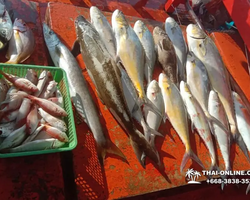 Real Fishing excursion 7 Countries from Pattaya in Thailand photo 210