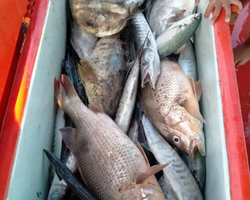 Real Fishing excursion 7 Countries from Pattaya in Thailand photo 266