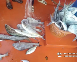 Real Fishing excursion 7 Countries from Pattaya in Thailand photo 637