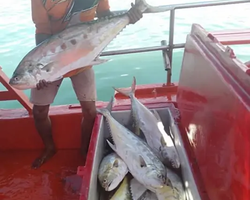 Real Fishing excursion 7 Countries from Pattaya in Thailand photo 799