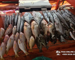 Real Fishing excursion 7 Countries from Pattaya in Thailand photo 194