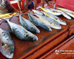 Real Fishing excursion 7 Countries from Pattaya in Thailand photo 113