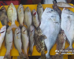 Real Fishing excursion 7 Countries from Pattaya in Thailand photo 502