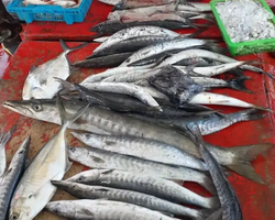 Real Fishing excursion 7 Countries from Pattaya in Thailand photo 105