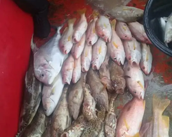 Real Fishing excursion 7 Countries from Pattaya in Thailand photo 550