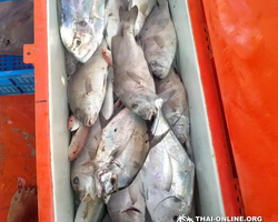 Real Fishing excursion 7 Countries from Pattaya in Thailand photo 231
