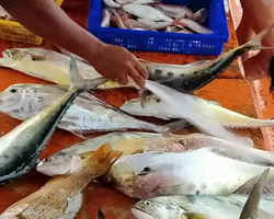 Real Fishing excursion 7 Countries from Pattaya in Thailand photo 380