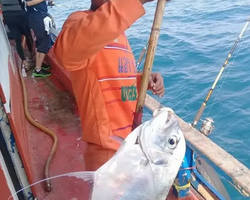 Real Fishing excursion 7 Countries from Pattaya in Thailand photo 250