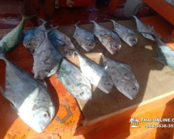 Real Fishing excursion 7 Countries from Pattaya in Thailand photo 553